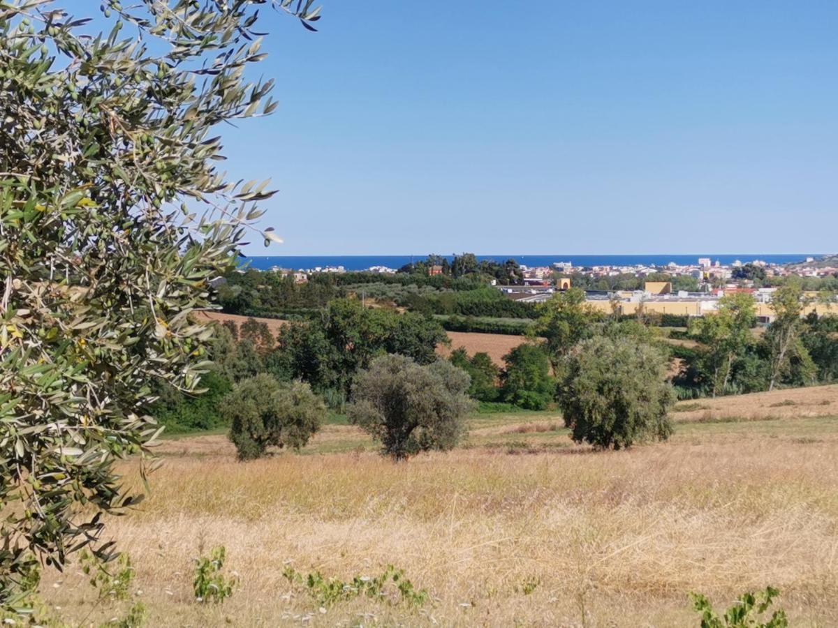Residence Il Villaggio Del Re Corropoli Dış mekan fotoğraf