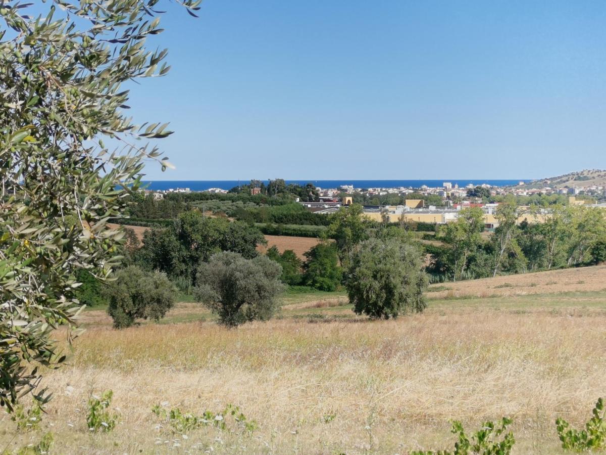 Residence Il Villaggio Del Re Corropoli Dış mekan fotoğraf