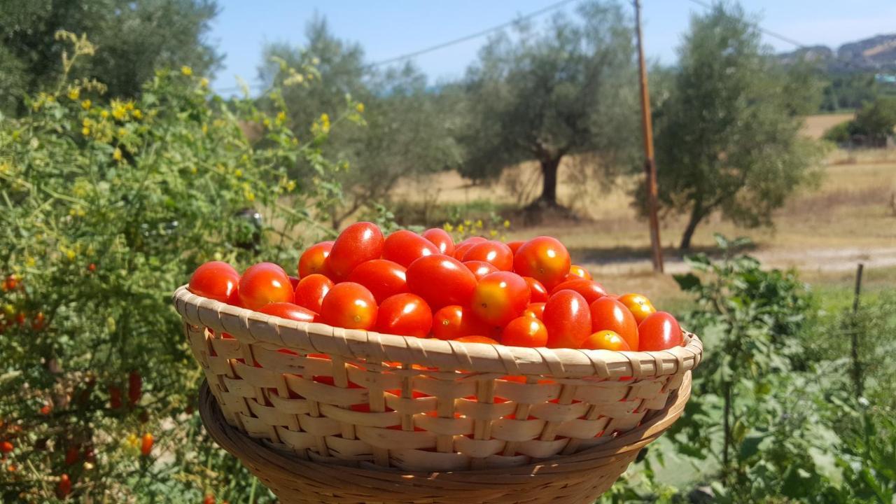 Residence Il Villaggio Del Re Corropoli Dış mekan fotoğraf