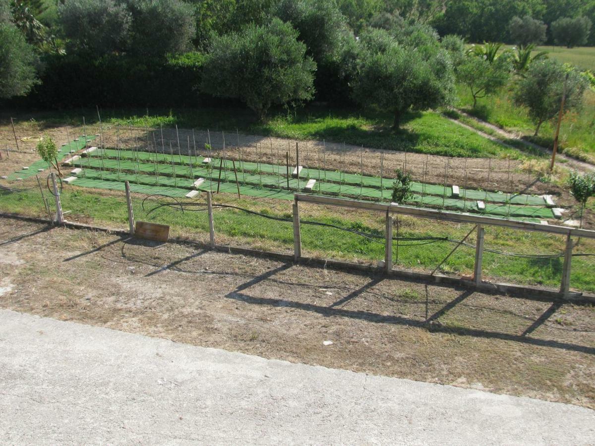 Residence Il Villaggio Del Re Corropoli Dış mekan fotoğraf